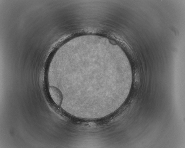 X0000112540492200909281102