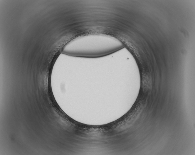 X0000112540493200909281102