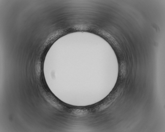 X0000112540494200909281102
