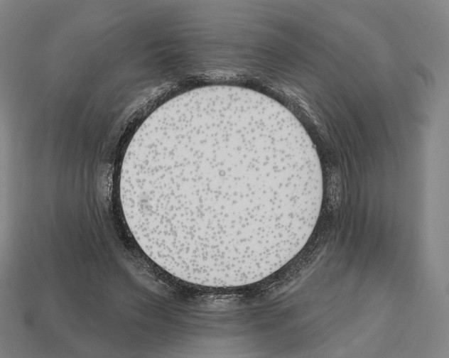 X0000112540495200909281102
