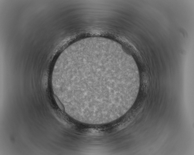 X0000112540496200909281102