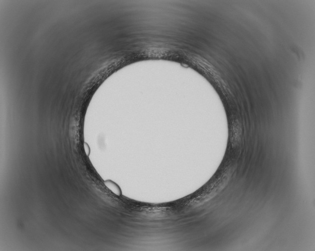 X0000112540497200909281102
