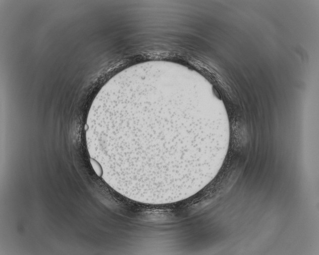 X0000112540499200909281102