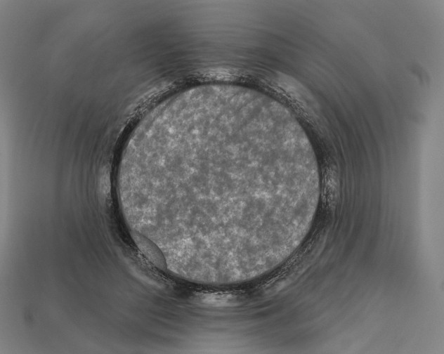 X0000112540500200909281102