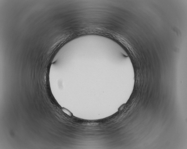 X0000112540501200909281102