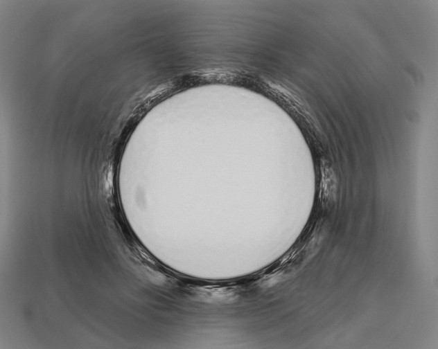 X0000112540502200909281102