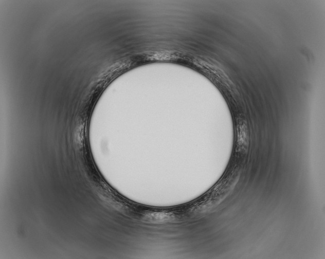 X0000112540503200909281102