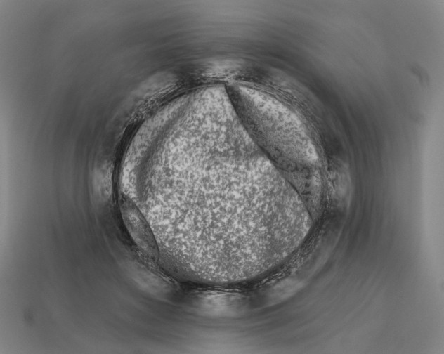 X0000112540504200909281102