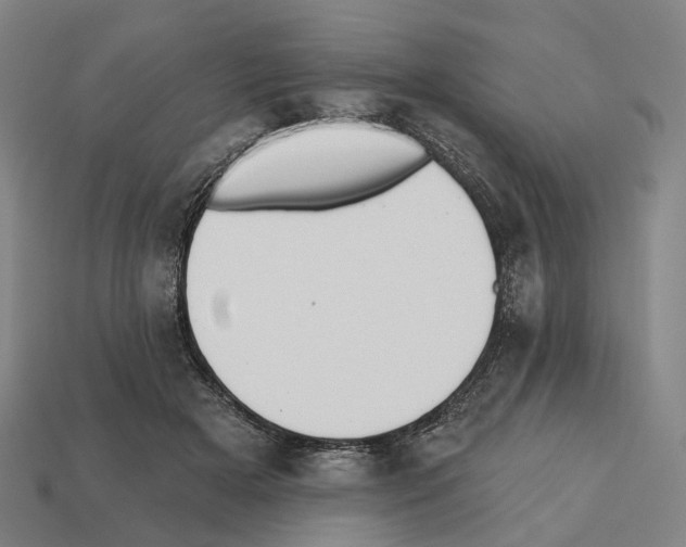 X0000112540505200909281102