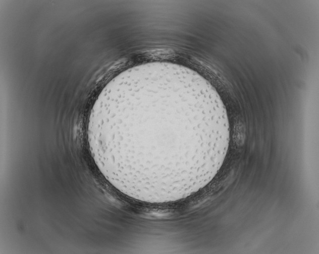 X0000112540506200909281102