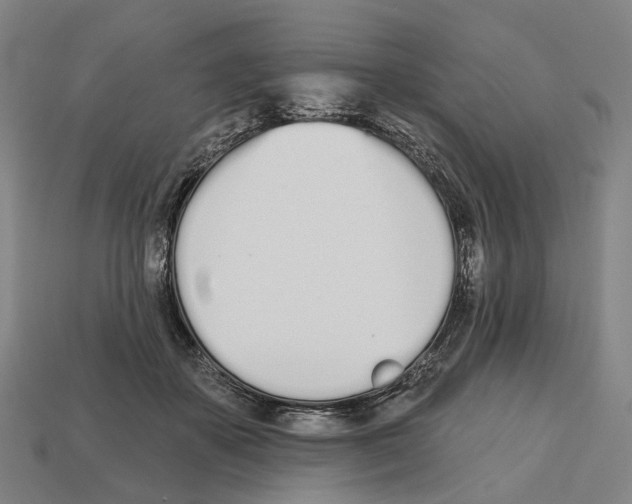 X0000112540507200909281102
