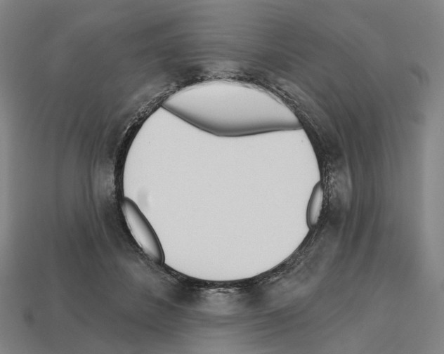 X0000112540508200909281102