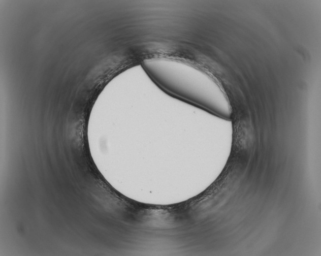 X0000112540509200909281102