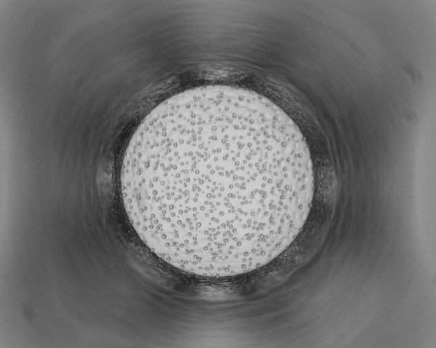 X0000112540510200909281102