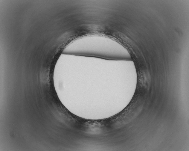 X0000112540512200909281102