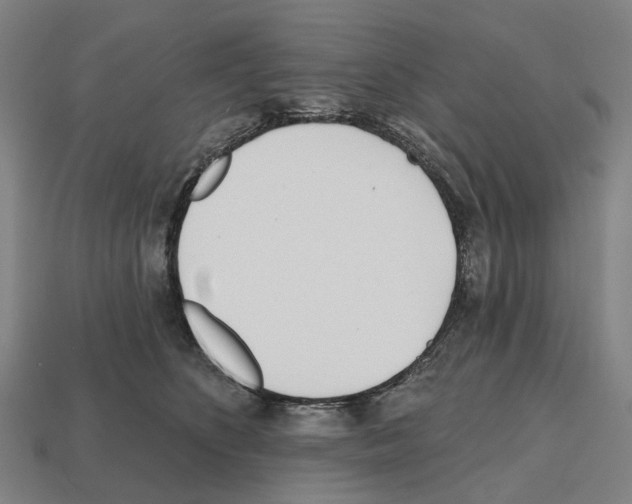 X0000112540516200909281102