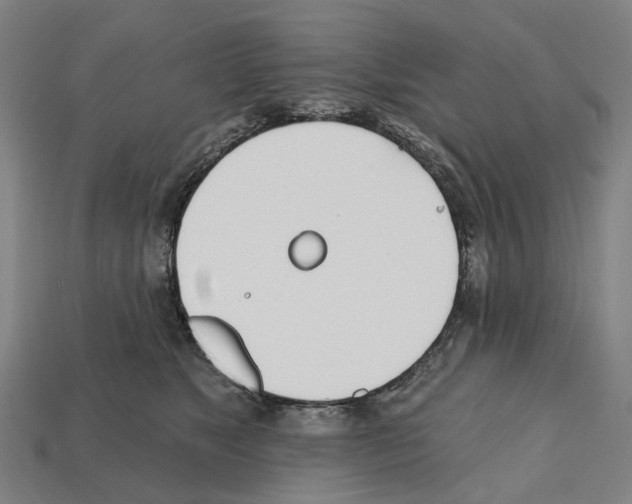 X0000112540517200909281102