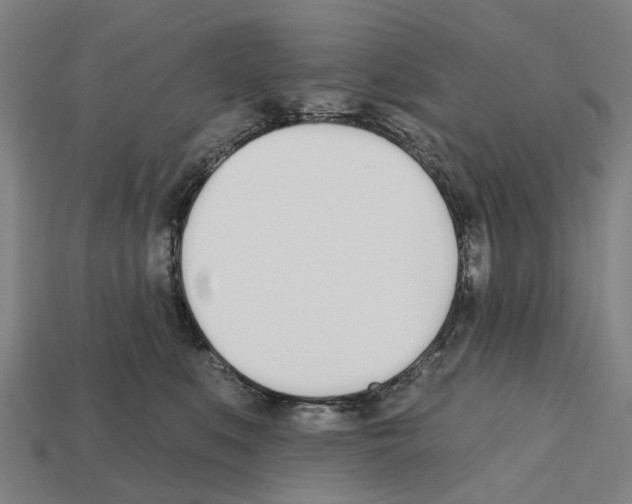X0000112540519200909281102