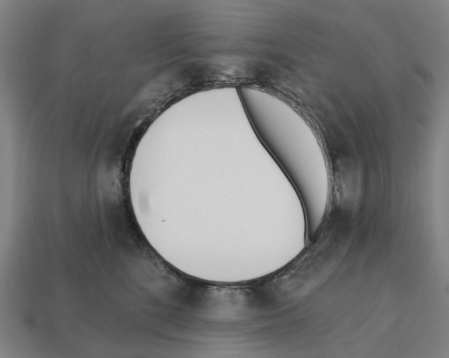 X0000112540520200909281102