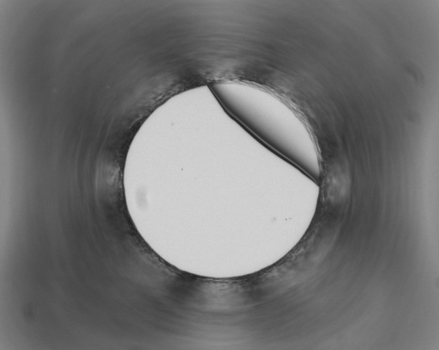 X0000112540521200909281102