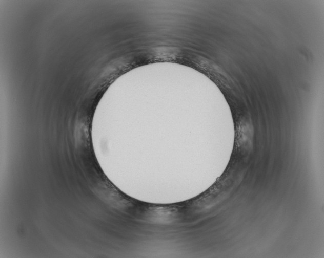 X0000112540522200909281102