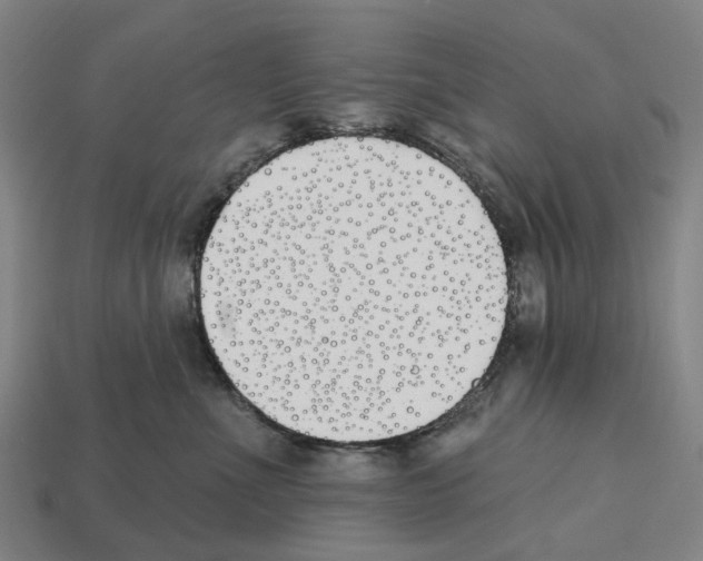 X0000112540523200909281102