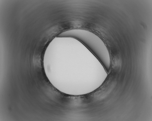 X0000112540524200909281102