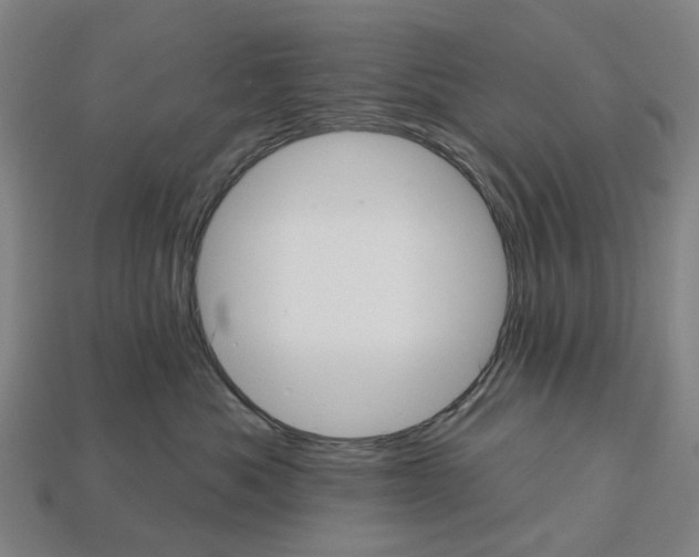 X0000112540525200909281102