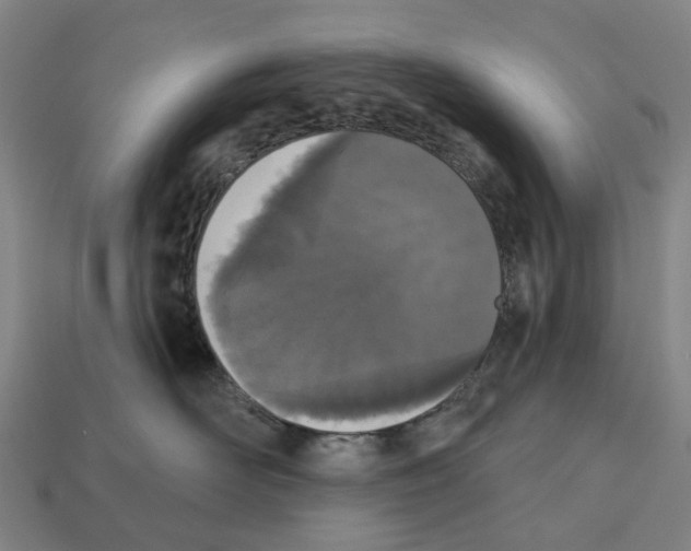 X0000112540526200909281102