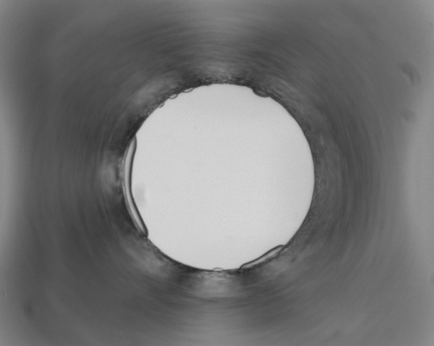 X0000112540528200909281102