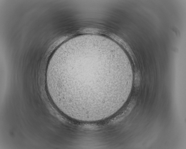 X0000112540529200909281101