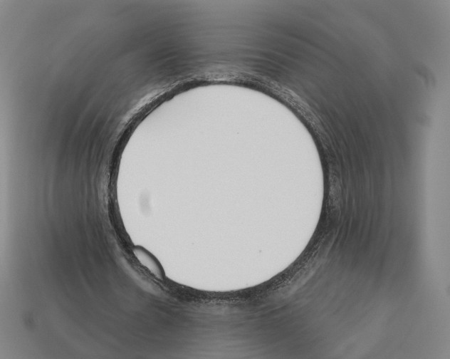 X0000112540530200909281101