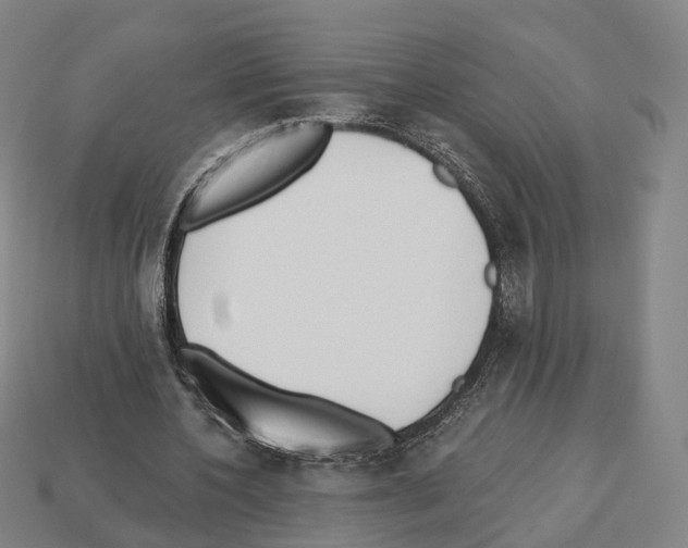 X0000112540532200909281101
