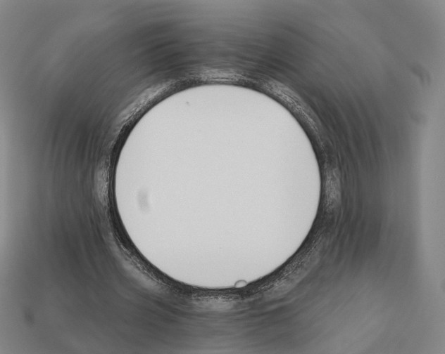 X0000112540533200909281101