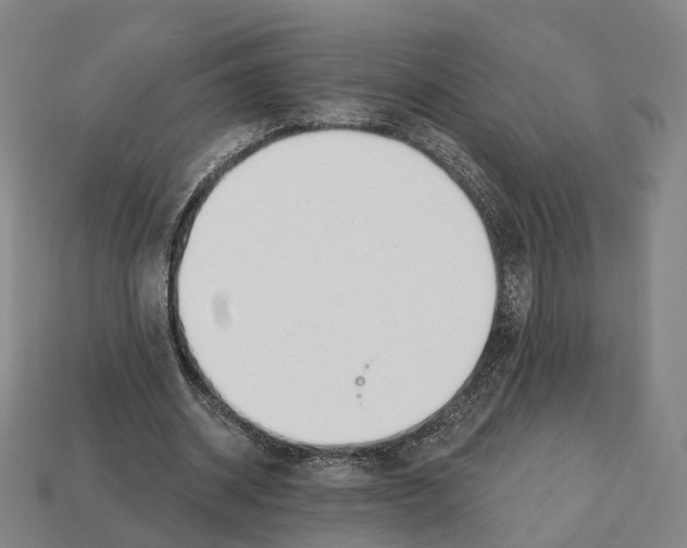 X0000112540534200909281101