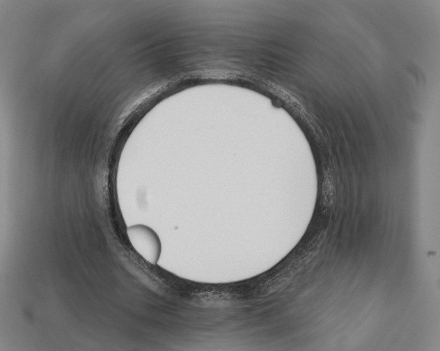 X0000112540535200909281101