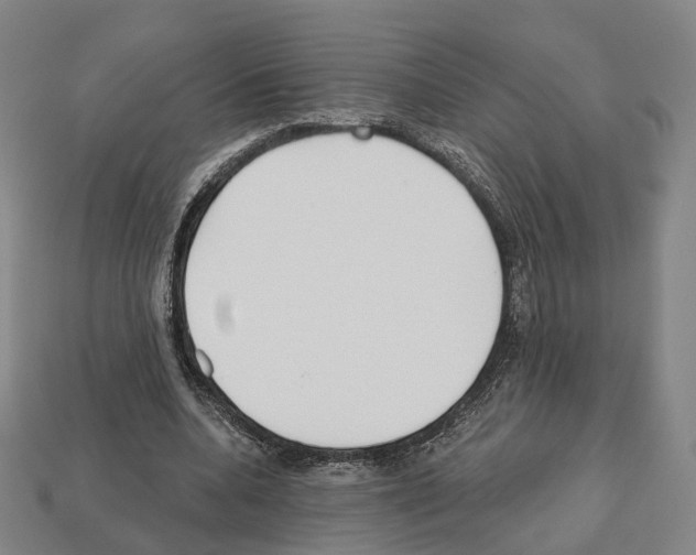 X0000112540536200909281101