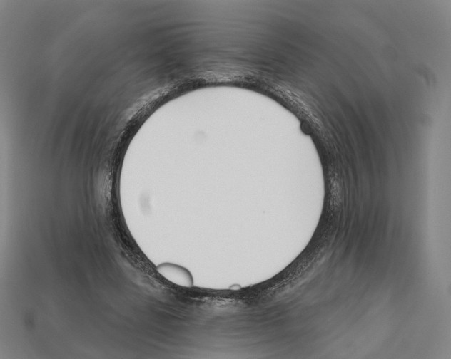 X0000112540539200909281101