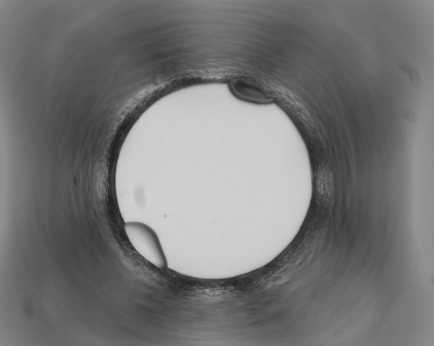 X0000112540540200909281101