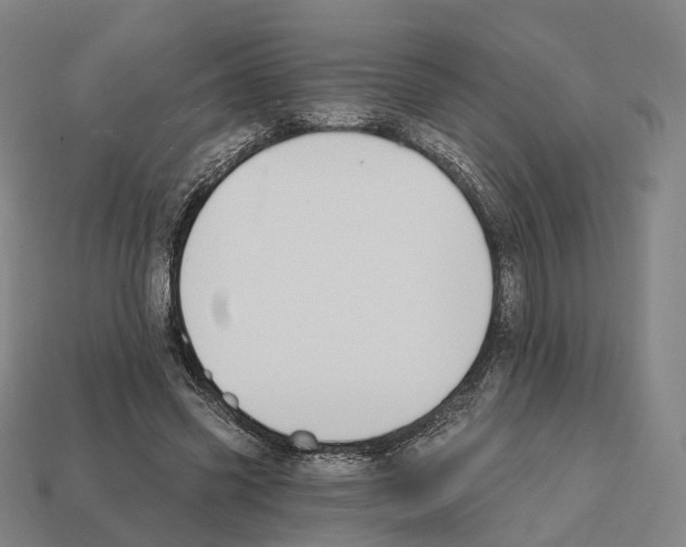 X0000112540541200909281101