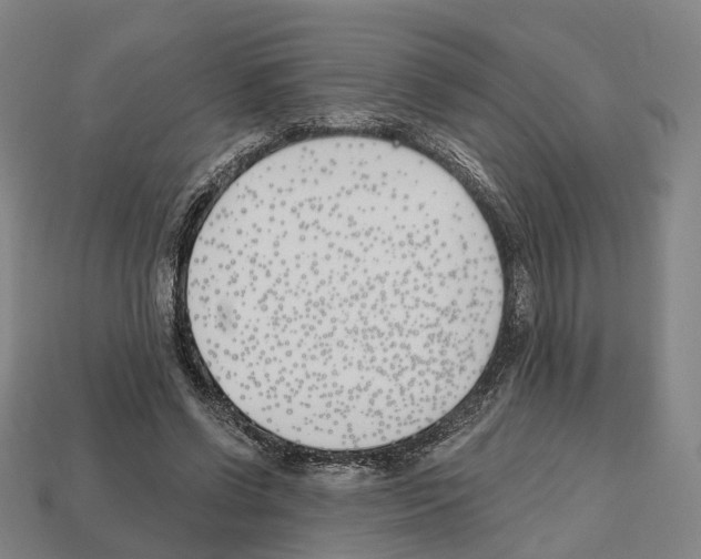 X0000112540542200909281101