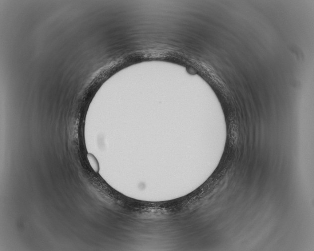 X0000112540543200909281101