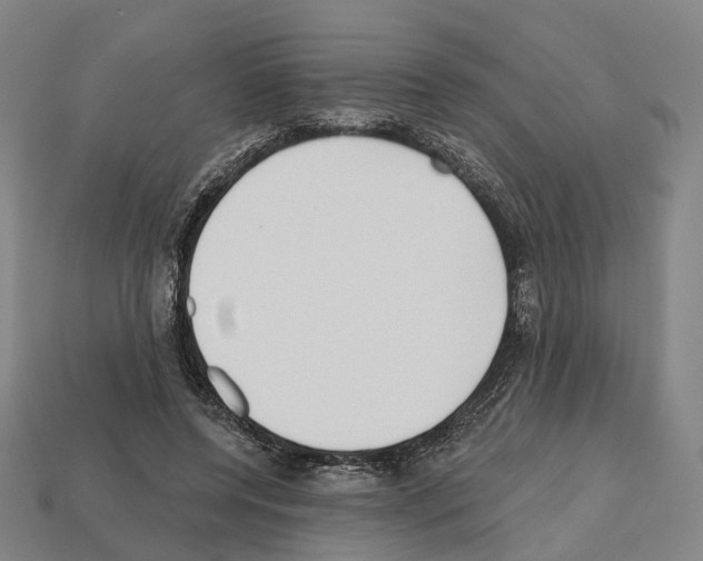 X0000112540544200909281101