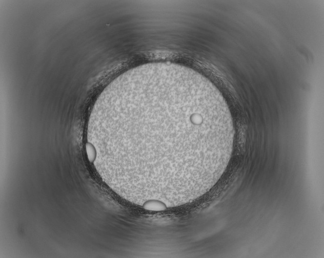 X0000112540545200909281101