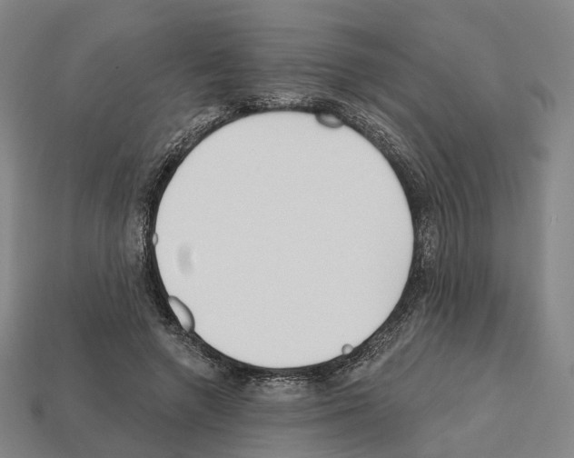 X0000112540546200909281101