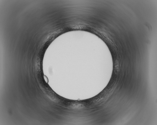 X0000112540547200909281101