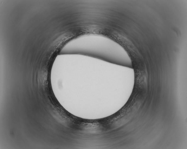 X0000112540548200909281101