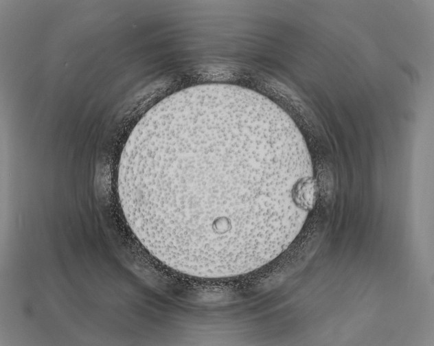 X0000112540549200909281101