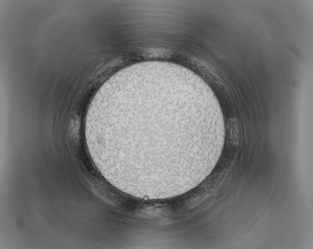 X0000112540550200909281101