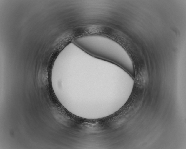 X0000112540552200909281101